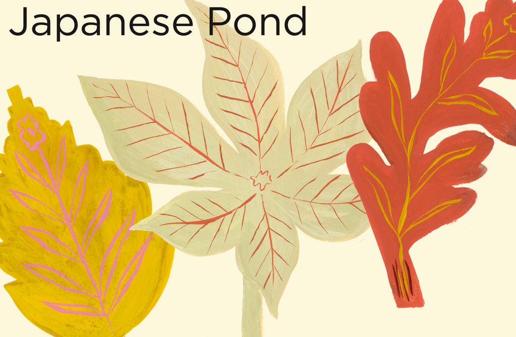 澄み渡る池と金魚。(Japanese Pond コレクション)