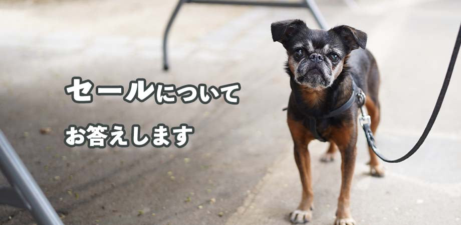 Les Nereides セールについて