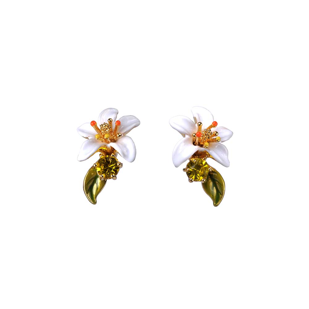レネレイド ピアス ネコ イヌ 赤 花（輝い ネコ ピアス